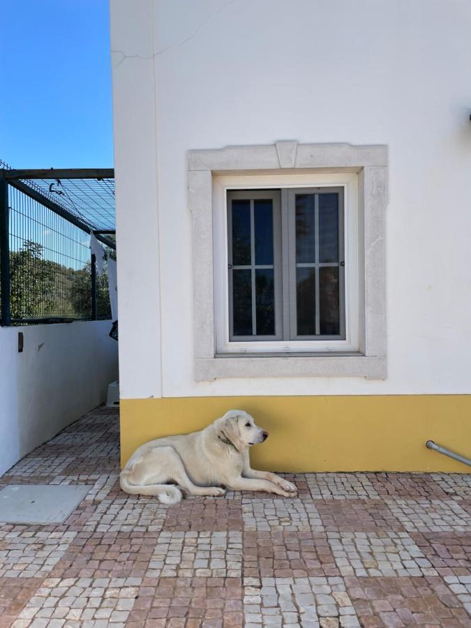 B&B Entrecolinas Paderne  Exteriör bild